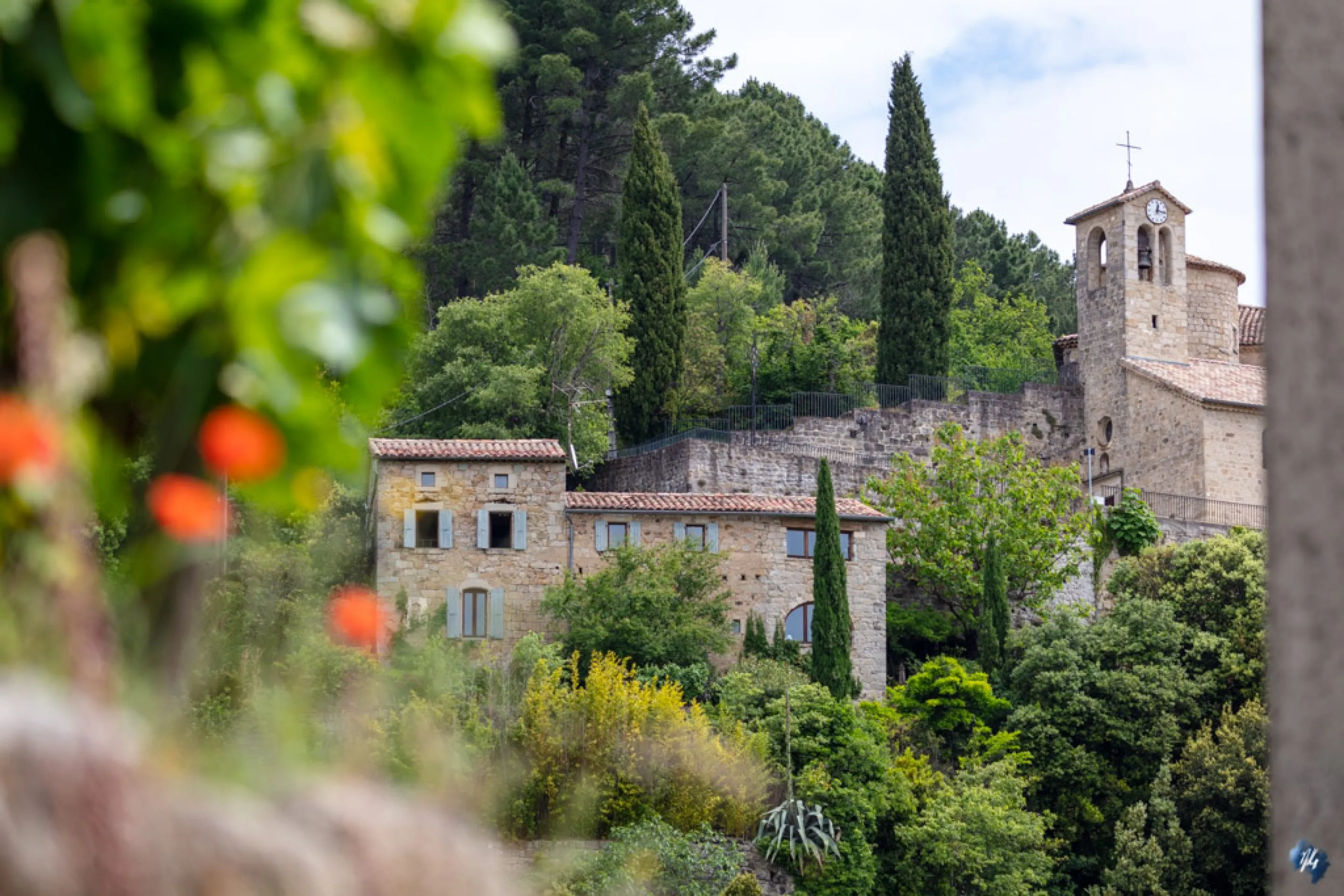 A French village behind softly blurred red flowers